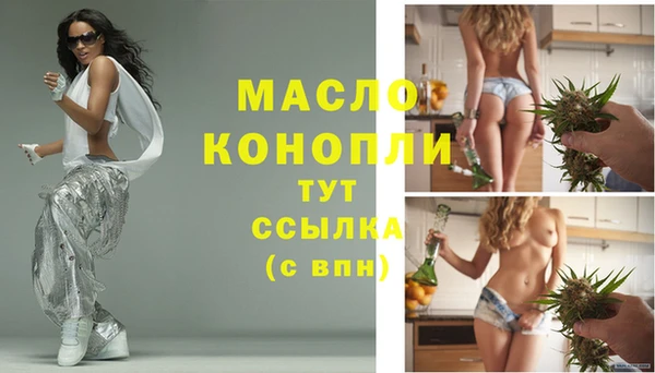 сатива Армянск