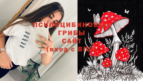 стафф Арсеньев