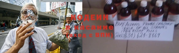 сатива Армянск