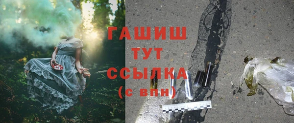 стафф Арсеньев