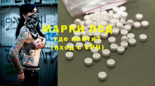 стафф Арсеньев