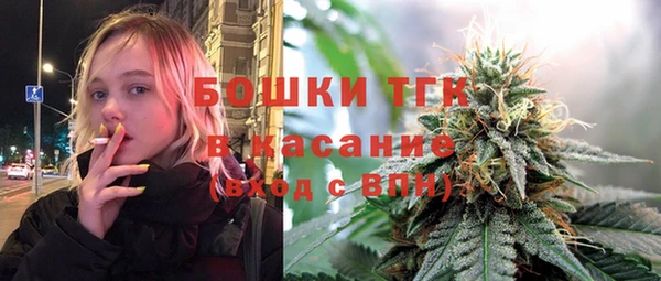 стафф Арсеньев