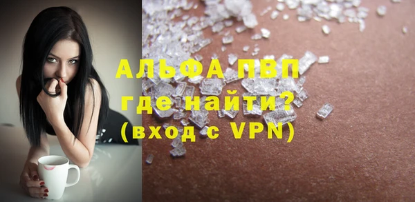 стафф Арсеньев