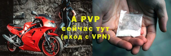 стафф Арсеньев