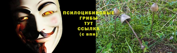 стафф Арсеньев